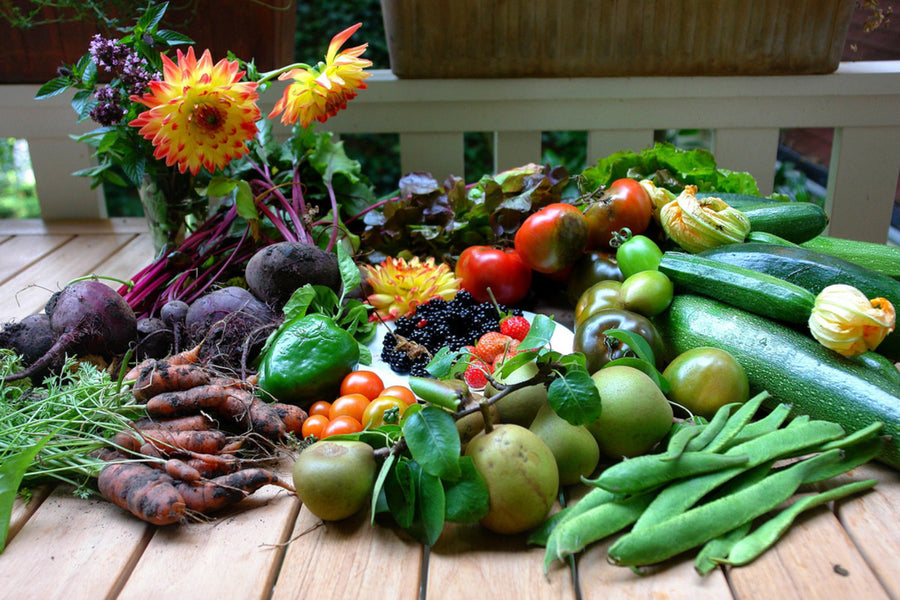 Lutein and Eye Health - What's in your Garden?